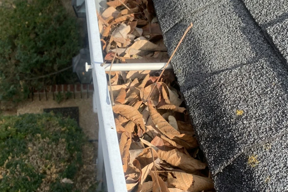 Mount Holly Springs Gutter Cleaning
